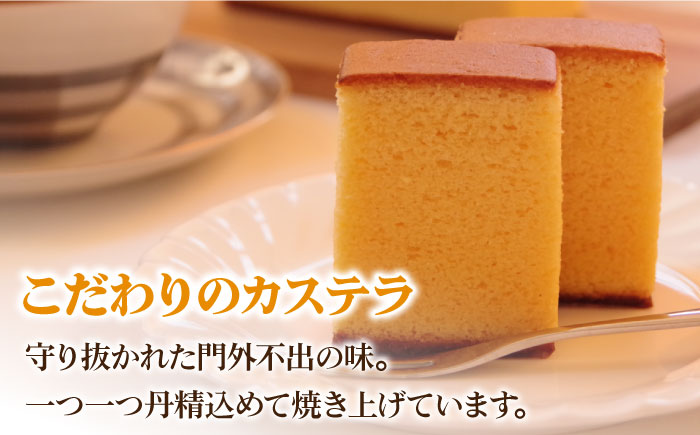 【6回 定期便 】特製 長崎 カステラ 1斤（約700g）/ 南島原市 / 本田屋かすてら本舗 [SAW011]