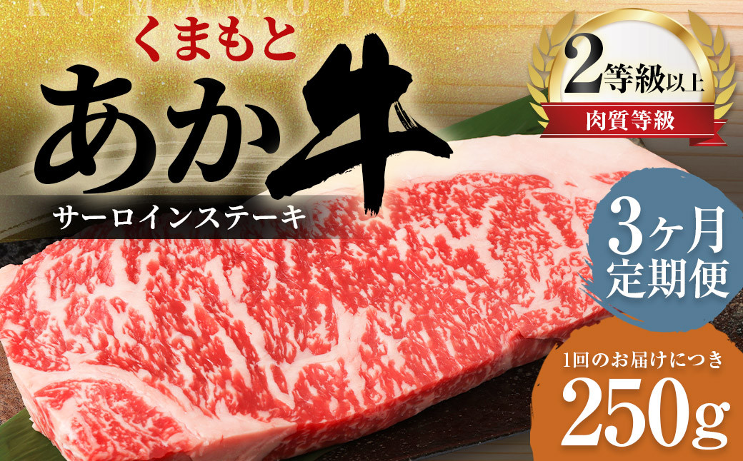 
            【3ヶ月定期便】くまもとあか牛 サーロイン 250g×1枚 牛肉 牛 肉
          