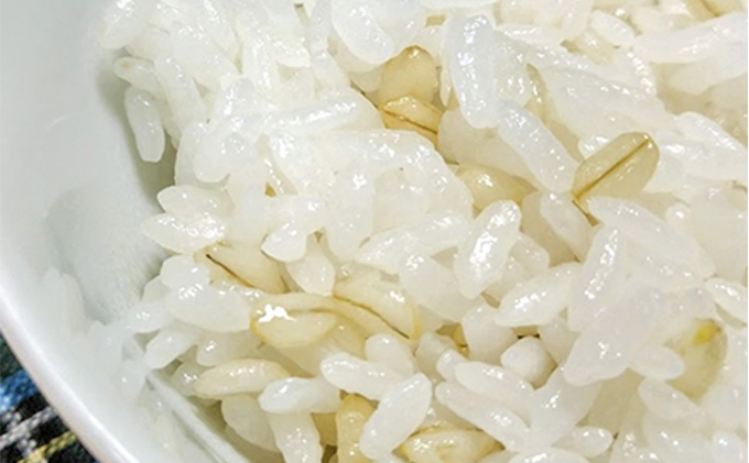 美味しさピカイチ!成分ピカイチ!もち麦は『福美』に決まり!!徳用4.3kg