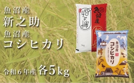令和7年産新米 中魚沼産「新之助」5kg ＋ 魚沼産コシヒカリ「金印」5kg 食べ比べセット 新潟県 有限会社イタバ |津南町 新之助 コシヒカリ
