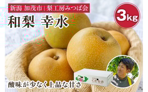 【2026年先行予約】新潟県産 和梨 幸水 3Kg（7～11玉）《8月中旬以降発送》こうすい 果物 フルーツギフト 秋の味覚 加茂市 梨工房みつば会