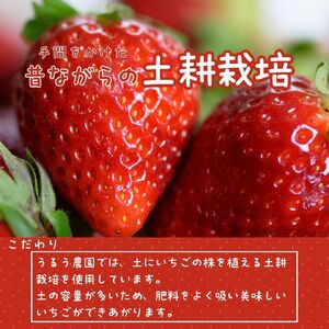 GF008_【2026年6月以降発送】冷凍白いちご２ｋｇ
