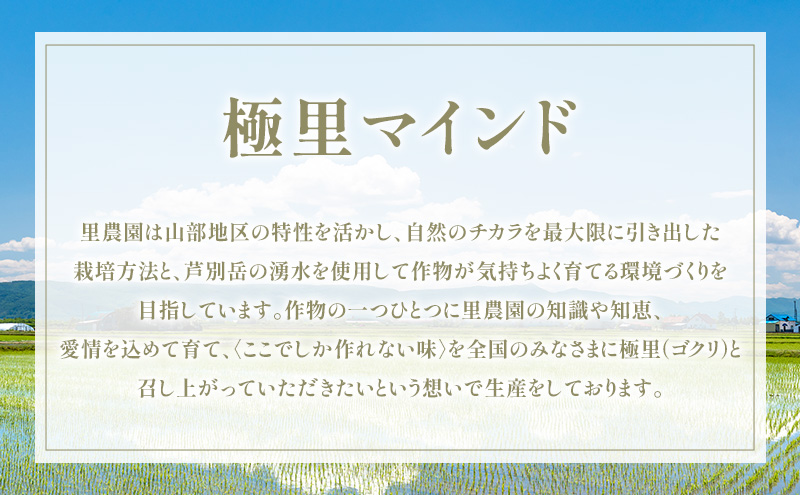 【2026年夏発送】富良野産 里農園の〈赤肉メロン〉 1玉 2kg以