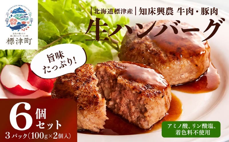 
                  北海道産 生 ハンバーグ 6個 (3パック) セット ( 1パック 100g ×2 ) 国産 無添加 おすすめ 保存料不使用 牛肉 豚肉 国産ハンバーグ 冷凍ハンバーグ 合いびき 合い挽き あいびき ギフト 小分け 人気 便利 冷凍 はんばーぐ ぽーく ぎゅうにく 肉 ひき肉 hannba-gu お弁当 おかず 惣菜 お惣菜 家庭用 子ども 子供 こども 北海道 標津町
                