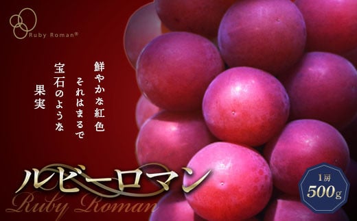 
            【先行予約】ルビーロマン 1房 500g（令和7年8月中旬～9月上旬頃順次発送） ぶどう ブドウ 大粒 先行予約 予約 冷蔵配送 くだもの 果物 フルーツ ご当地 食品 F6P-2104
          