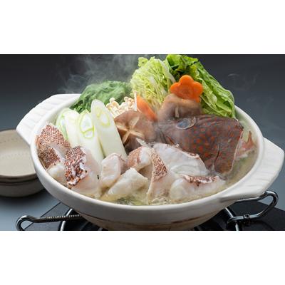 ふるさと納税 対馬市 【対馬産】アコウ(キジハタ)鍋セット500g |  | 01