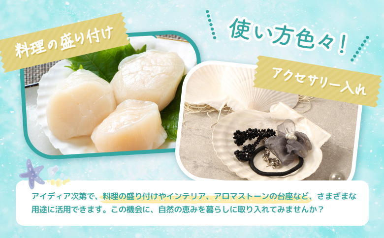 ほたて貝殻詰め合わせ |  ほたての貝殻 ホタテ貝殻 貝殻 詰め合わせ 装飾 お皿 インテリア 盛り付け クラフト アクセサリー ハンドメイド 工作 材料 お取り寄せ 北海道 雄武町 雄武【13001