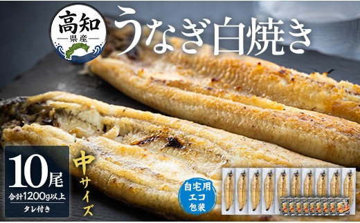 
吉川水産 高知県産うなぎの白焼 中サイズ(120～140g)×10尾 タレ付き 自宅用エコ包装 yw-0048
