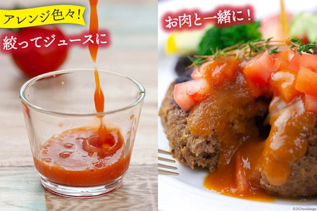 【2025年発送】 訳あり トマト 約1kg 秋作 [ヨダファーム 山梨県 中央市 21470964] とまと 訳アリ tomato 野菜 やさい 1キロ 季節限定 期間限定 産地直送 山梨県産