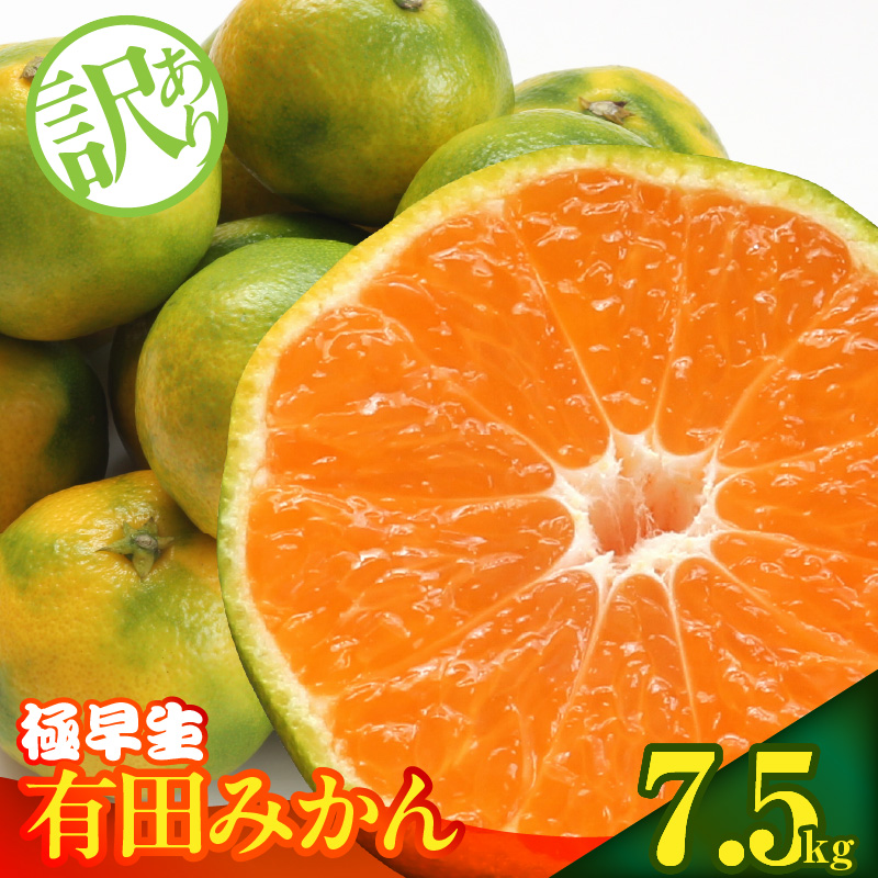 MK1083_【2026年先行予約】訳あり みかん 極早生 箱込 7.5kg ( 内容量 6.8kg ) サイズミックス 有田みかん 和歌山県産