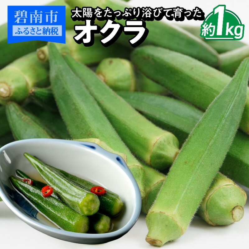 【ふるさと納税】オクラ 約 1kg 国産 太陽 たっぷり 浴びて 育った 野菜 2025年発送 新鮮 栄養 ボリューム お弁当 天ぷら 産地直送 お取り寄せ セット 料理 総菜 おかず サラダ 愛知県 碧南市 送料無料