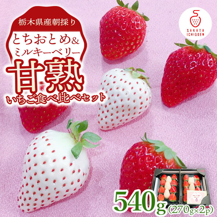 【ふるさと納税】甘熟いちご食べくらべセットとちおとめ＆ミルキーベリー270g×2p ｜ とちおとめ いちご 苺 栃木県 果物 フルーツ ※北海道・沖縄・離島への配送不可 ※2026年1月上旬～4月中旬頃に順次発送予定