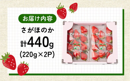 【先行予約】白石産いちご「さがほのか」 220g×2パック / 佐賀県 / 岸川農園[41ASAG010]