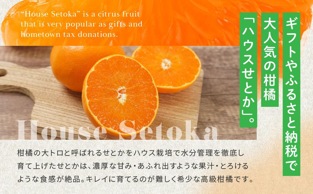 柑橘の大トロ！完熟ハウスせとか 1kg 2027年2月中旬～発送予定