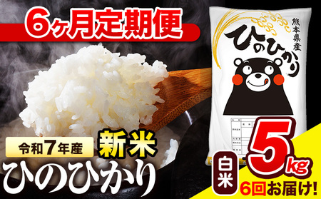 令和7年産 白米 【6ヶ月定期便】 ひのひかり 5kg《お申し込み月の翌月から出荷開始》 熊本県産 白米 精米 氷川町 ひの 送料無料 ヒノヒカリ コメ 便利 ブランド米 お米 おこめ 熊本 