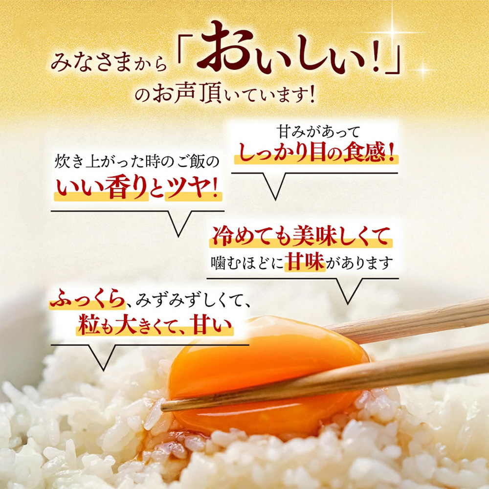 【令和7年産】さがびより 精米 15kg(5kg×3袋)【特A受賞米 人気 佐賀県産 ブランド米 増田米穀】(H015225)