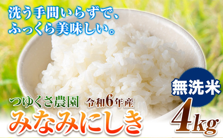 新米 令和6年産 みなみにしき 無洗米 4kg 熊本県 荒尾市産 米 無洗米 つゆくさ農園 《30日以内に出荷予定(土日祝除く)》 米 こめ コメ 無洗米 米