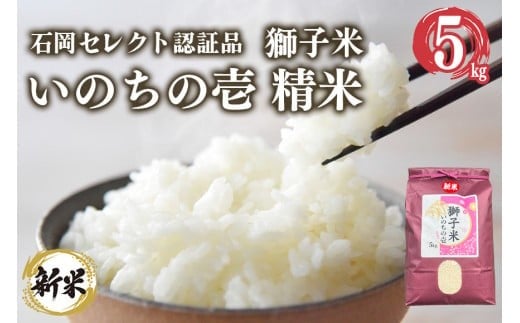 【2月発送】獅子米 いのちの壱 精米 5kg 岡田ファーム コンテスト受賞米 お米 白米 米 おこめ ブランド米 5キロ 国産 単一原料米 コメ こめ ご飯 銘柄米 茨城県産 茨城 産直 産地直送 農家直送 ごはん 家庭用 贈答用 ギフト 茨城県 石岡市 (B02-051)