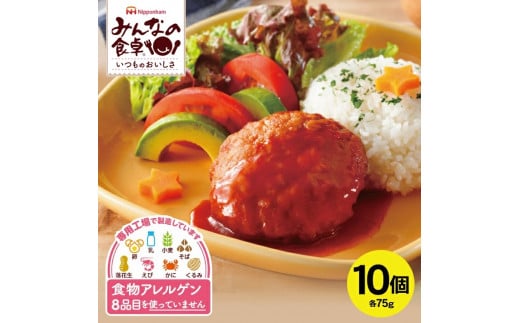 東北日本ハム《みんなの食卓》 ハンバーグ　75g×10個 SA1995