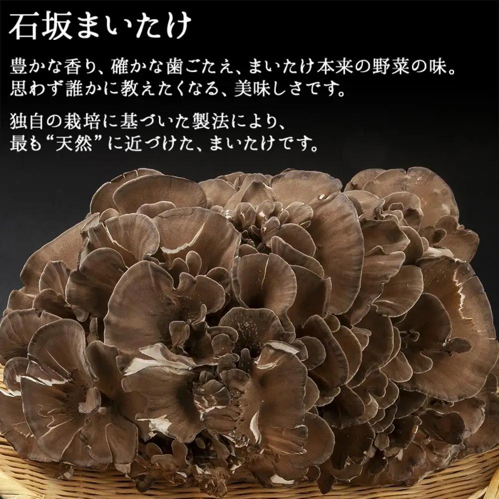 【無地のし】 新潟県 南魚沼産 厳選 国産 石坂 高級 舞茸 まいたけ 産地直送 1kg ×2箱 計2kg 贈り物 ギフト お中元 お歳暮 石坂きのこ