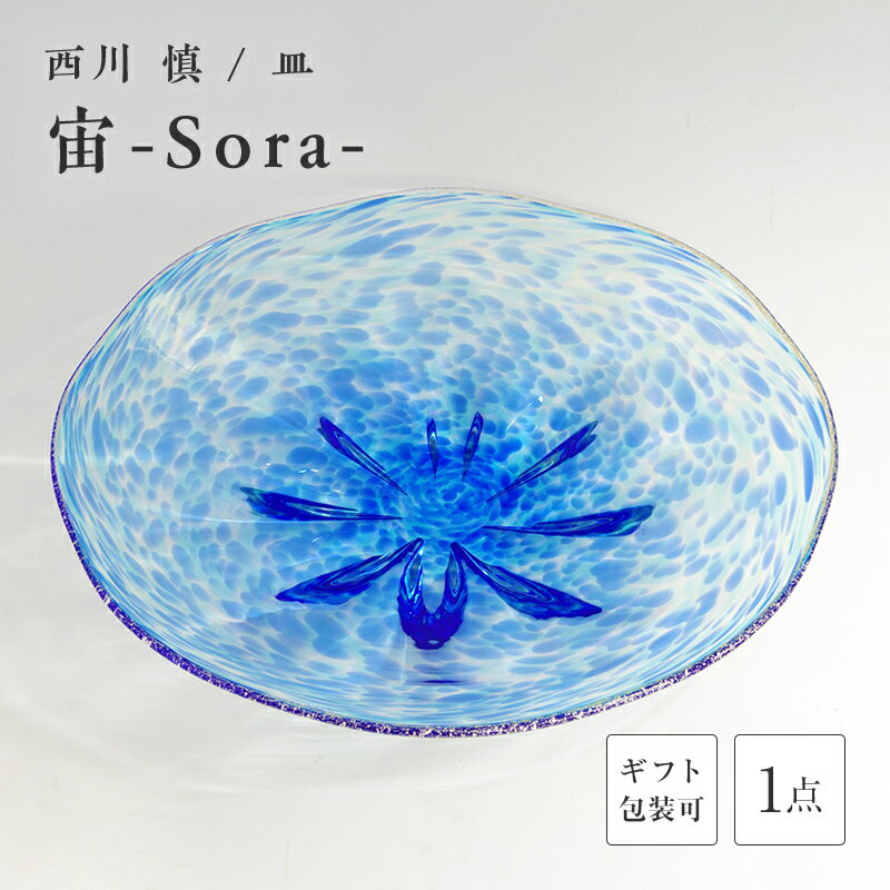 【ふるさと納税】＜ガラス作家 西川 慎＞皿「宙ーSora-」 吹きガラス 硝子 ガラス 皿 西川慎 贈り物 ギフト F6L-110var