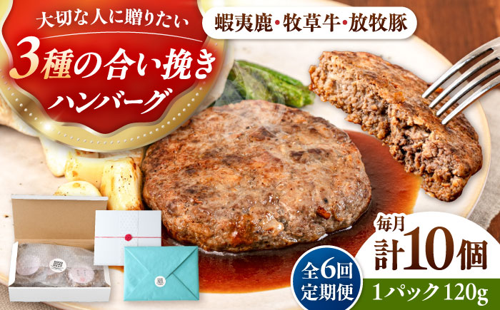 【全6回定期便】【蝦夷鹿×牧草牛×放牧豚】ハンバーグ 10個《厚真町》【GOODGOOD株式会社】 ハンバーグ 鹿肉 牛肉 豚肉 小分け 冷凍配送 北海道 [AXBP032]
