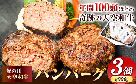 黒毛和牛 ハンバーグ 天空和牛ハンバーグ 約300g (約100g×3個) 有限会社松牛