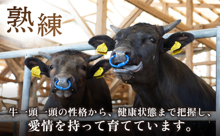 【全12回定期便】佐賀牛 ヒレ サイコロステーキ 500g(250g×2パック)【山下牛舎】佐賀牛 牛肉 黒毛和牛 佐賀牛 牛肉 佐賀牛 牛肉 フィレ 佐賀牛 牛肉 ヒレ肉 佐賀牛 牛肉 ヒレステーキ