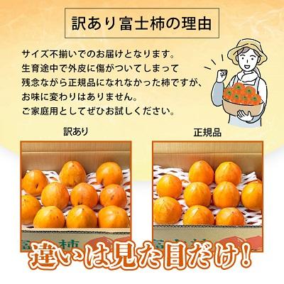 ふるさと納税 八幡浜市 《八幡浜特産 国内最大級の 柿》 富士柿 10kg 種無し【訳あり】【C20-22】 |  | 01