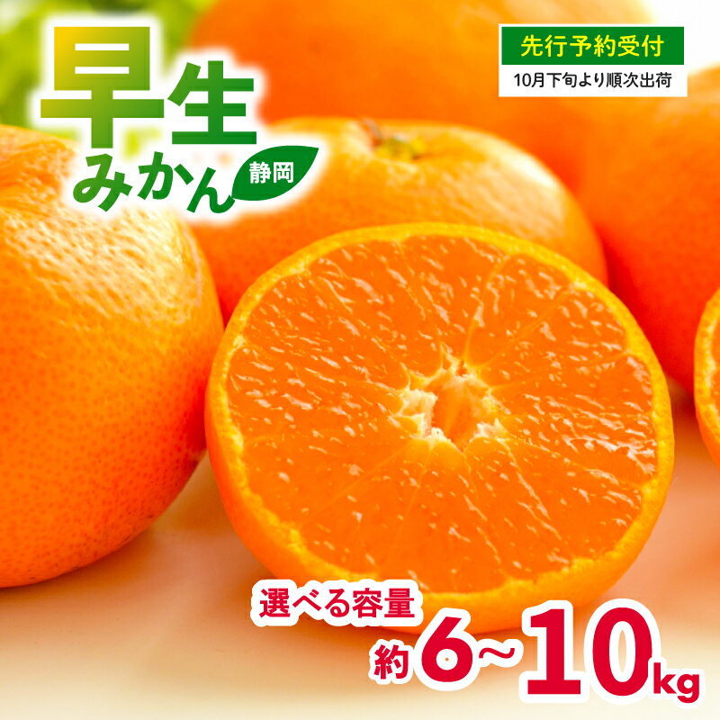 【ふるさと納税】 【 先行予約 : 2025年10月下旬～発送予定 】 選べる容量 早生 みかん 6kg～10kg 静岡県産 果物 国産 フルーツ 柑橘 蜜柑 ミカン 大小 ミックス 不揃い 温州 ビタミン 美味しい