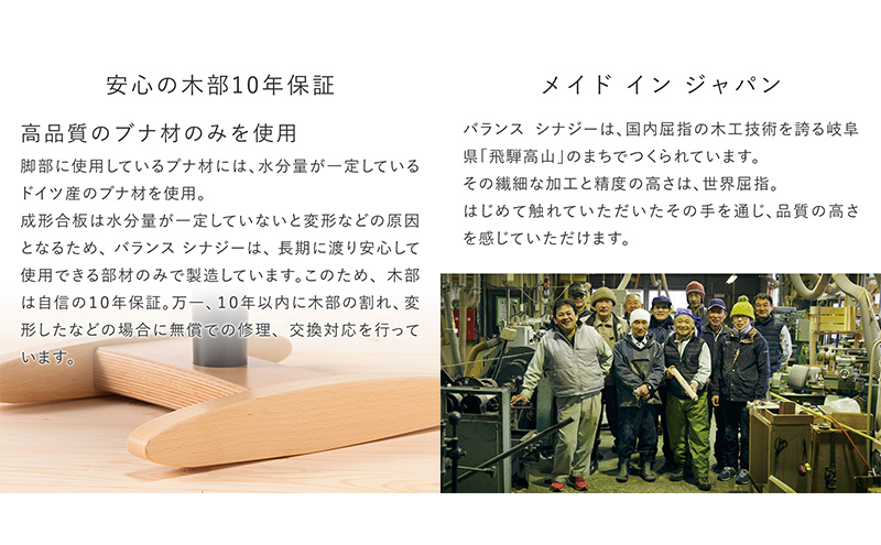 バランス シナジー(カバー付き) 椅子 腰痛 対策 イス カバー バランスラボ 岐阜県 美濃市