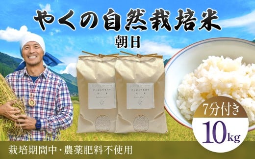 令和8年産先行予約 やくの自然栽培米 朝日 10kg 精米 （7分づき） / 自然栽培米 自然栽培 こめ コメ 米 白米 精米 イセヒカリ いせひかり お米 ごはん やくの 夜久野 京都府 福知山市 FCEV016