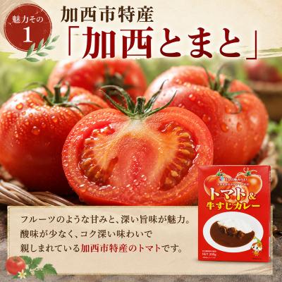 ふるさと納税 加西市 「加西産とまと」を使ったトマト&牛すじカレー[No5698-0022] |  | 01