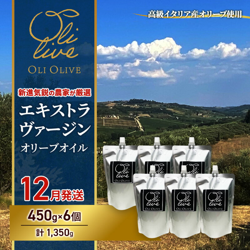 【ふるさと納税】【受賞農家が選出】 高級イタリア産 エキストラ・ヴァージン・オリーブオイル 450g×6個【2024年12月より順次発送】　お届け：2026年12月中旬～2026年12月下旬まで