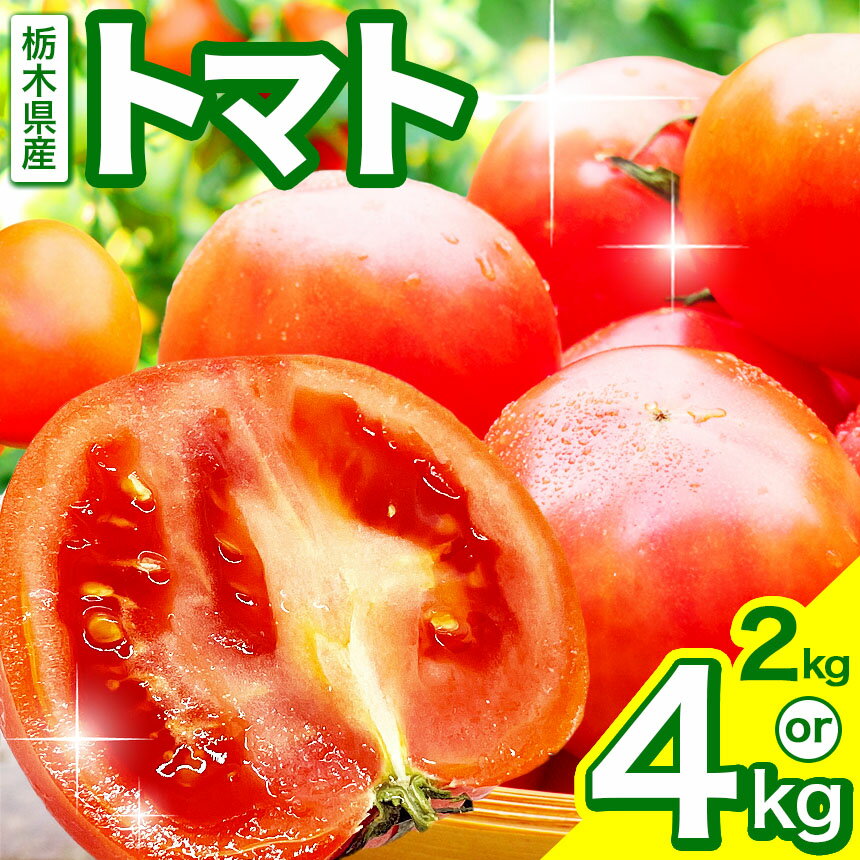【ふるさと納税】トマト 約2kg～4kg 株式会社 誠和が作るトマト | とまと 野菜 選べる内容量 旬野菜 とれたて 冬 春 人気 フレッシュ みずみずしい 甘み うまみ ほどよい酸味 彩り サラダ向き ジューシー 季節の味 とれたて 新鮮 国産 完熟 旬 送料無料 栃木県 下野市