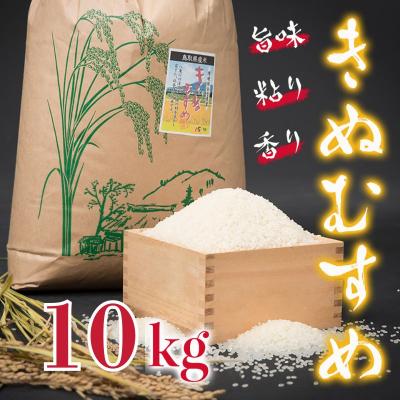 ふるさと納税 八頭町 【令和7年度産米】きぬむすめ10kg