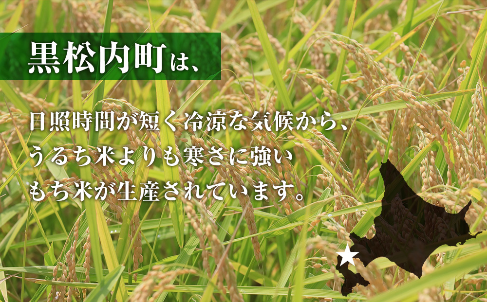 【定期便3ヵ月】 きたゆきもち 5kg 北海道産 もち米 米 北海道米