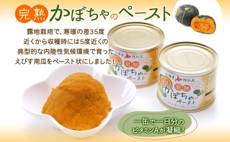 栄機能性表示食品 ビタミンA 北海道陸別町産 えびす南瓜ペースト 6缶 南瓜 かぼちゃ カボチャ ペースト 離乳食 料理 介護食 えびす南瓜 えびすかぼちゃ 裏ごし不要 味付け無し 一日分のビタミン 