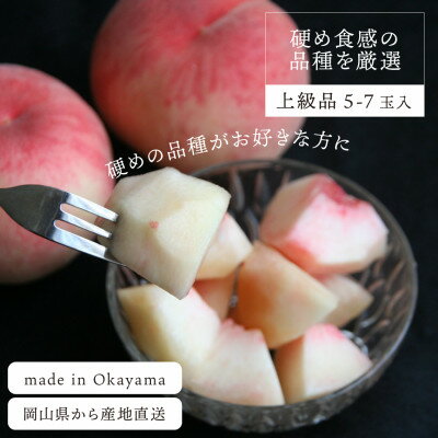 【ふるさと納税】【2026年先行予約】「硬めの桃好きさん」におすすめ! 硬め桃 上級品 5-7玉(岡山県産)_ 硬め 桃 上級品 5玉 7玉 食感 贈答 岡山県 津山市 果物 フルーツ もも モモ 産地直送 送料無料 【配送不可地域：離島】【1696634】