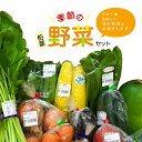 【ふるさと納税】 野菜 詰め合わせ セット 野菜セット 野菜詰め合わせ 旬 国産 千葉県産 柏産 おいしい おまかせ 新鮮野菜 一人暮らし 父の日 母の日 お取り寄せ 取り寄せ おすすめ おススメ