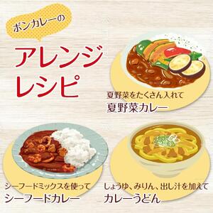 【定期便 全6回】ボンカレーネオ 牛肉の旨み(中辛)　　30個×6回　計180個