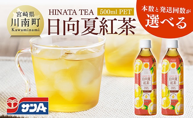 ※本数と回数が選べる※ サンA日向夏紅茶HINATA　TEA500mlＰＥＴ 【 飲料 日向夏 紅茶 ジュース 長期保存 ペットボトル 備蓄 九州 宮崎県産 川南町 持運び簡単 送料無料 】[C03013][C03014]