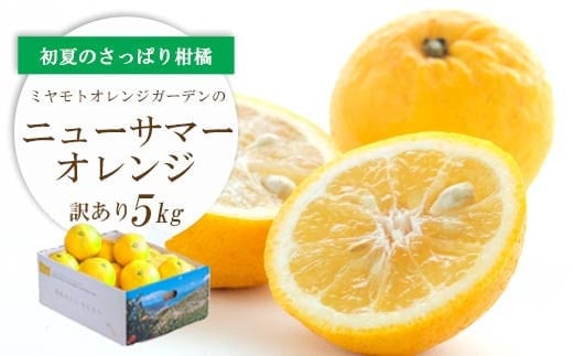 ＜2026年4月下旬頃出荷＞ワタまでおいしい ニューサマーオレンジ5kg(訳あり)＜E25-140＞【1268369】
