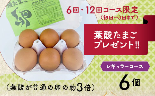 【12回定期便】旬の京野菜 毎月お届けレギュラーコース（全12回）＆『葉酸たまご』6個入り×1パック×3回分付《野菜定期便 野菜詰め合わせ 野菜セット 京野菜 旬の野菜 新鮮野菜 有機野菜 減農薬 卵
