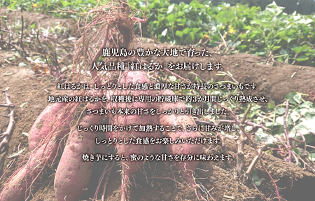 W-2105-mo2026／＜2026母の日ギフト＞熟成芋 (紅はるか 生芋) 2kg