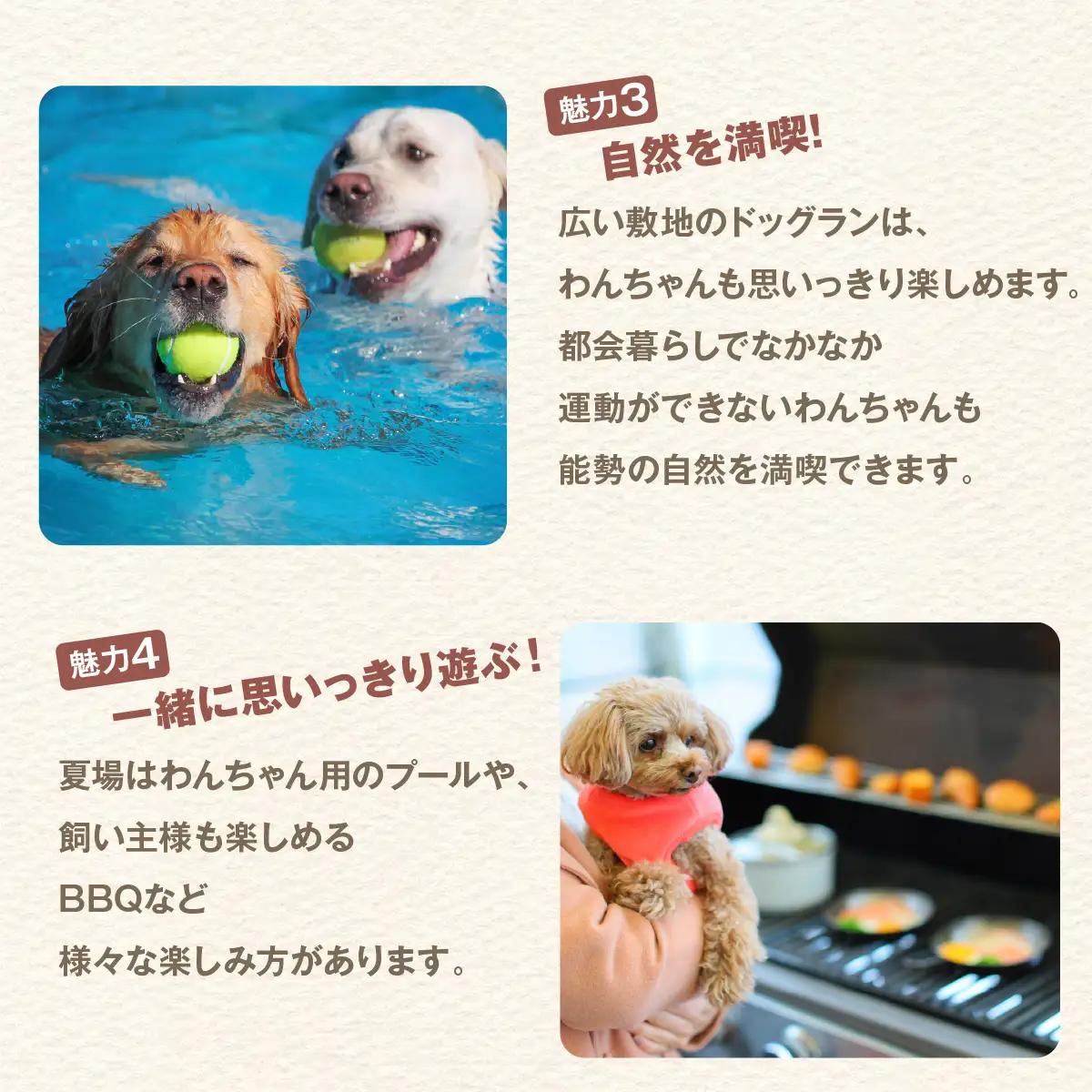 【完全予約制】自然を活かした全面プライベートドッグラン・ドッグガーデン 利用補助券 4,500円分 (500円 × 9回分) | Bless Dog Oasis | ドッグラン ドッグガーデン わんち