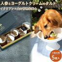 【ふるさと納税】ペットフード(犬のおやつ)　人参とヨーグルトクリームのタルト　5個入り | ペット 犬 ペットフード 小型犬 愛犬 愛犬家 タルト おやつ 犬用 福岡県 筑前町 ふるさと納税 送料無料 CH003