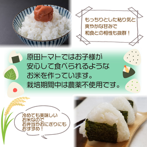 お米 定期便 3回 あきさかり 5kg 令和8年産 米 こめ