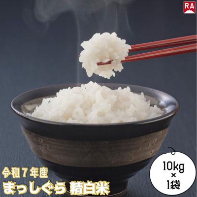 ふるさと納税 弘前市 まっしぐら 白米 10kg 青森米 令和7年産 青森県弘前市|24_rap-201001