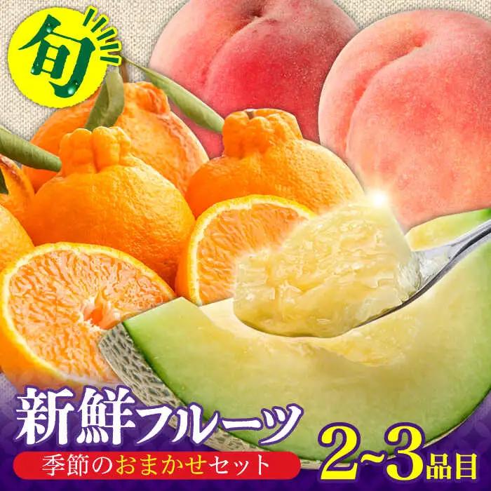 フルーツセット 2-3品目 [SCZ012] 旬のフルーツ